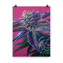 Load image into Gallery viewer, Tropicana Punch 18"x24" Poster