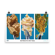 Load image into Gallery viewer, Extracts on Teal Poster