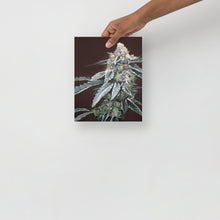 Load image into Gallery viewer, Boston Cream Pie 8x10 Print