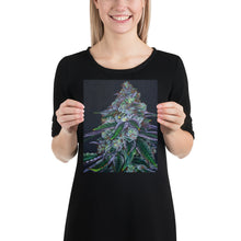 Load image into Gallery viewer, Sour Diesel 8x10 Print