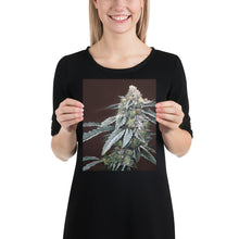 Load image into Gallery viewer, Boston Cream Pie 8x10 Print