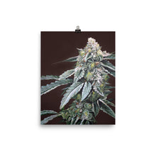 Load image into Gallery viewer, Boston Cream Pie 8x10 Print