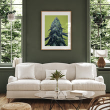 Load image into Gallery viewer, Animal Face 18x24 Poster