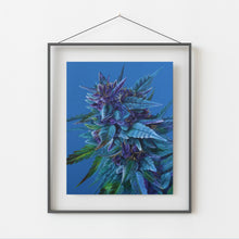 Load image into Gallery viewer, Rainbow Set of 6, 8x10 Prints