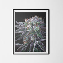 Load image into Gallery viewer, Black Afghan 18"x24" Poster