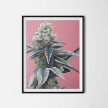 Load image into Gallery viewer, Dosidos 18"x24" Poster