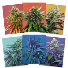 Load image into Gallery viewer, Rainbow Set of 6, 8x10 Prints