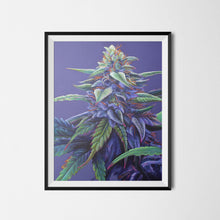 Load image into Gallery viewer, Purple Haze 18"x24" Poster