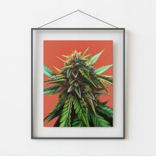 Load image into Gallery viewer, Rainbow Set of 6, 8x10 Prints