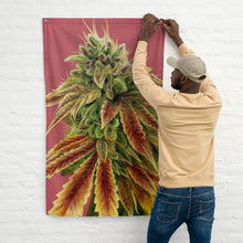 Load image into Gallery viewer, Gorilla Zkittlez Flag