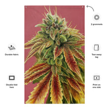 Load image into Gallery viewer, Gorilla Zkittlez Flag