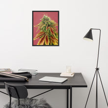 Load image into Gallery viewer, FRAMED 18x24 Gorilla Zkittles Poster