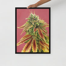 Load image into Gallery viewer, FRAMED 18x24 Gorilla Zkittles Poster