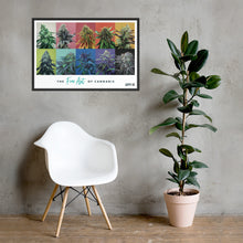Load image into Gallery viewer, FRAMED 10 Strain 36"x24" Poster