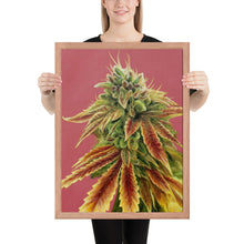 Load image into Gallery viewer, FRAMED 18x24 Gorilla Zkittles Poster
