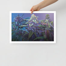 Load image into Gallery viewer, FRAMED 18"x12" PURPS - Purple Cannabis Print