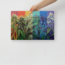 Load image into Gallery viewer, 18"x12" (small) STRainbow Poster
