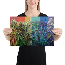 Load image into Gallery viewer, 18"x12" (small) STRainbow Poster
