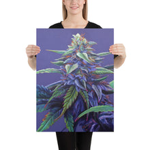 Load image into Gallery viewer, Purple Haze 18"x24" Poster