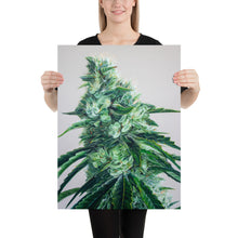 Load image into Gallery viewer, White Durban 18"x24" Poster