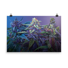 Load image into Gallery viewer, PURPS 36"x24" Purple Cannabis Poster