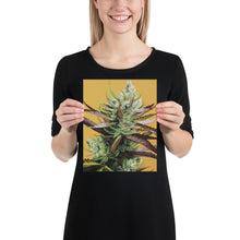 Load image into Gallery viewer, Super Lemon Haze 8x10 Print