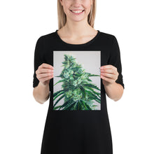 Load image into Gallery viewer, White Durban 8"x10" Print