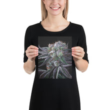 Load image into Gallery viewer, Black Afghan 8"x10" Print