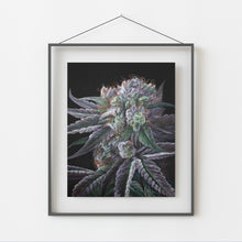 Load image into Gallery viewer, Black Afghan 8x10 print
