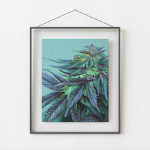 Load image into Gallery viewer, Girl Scout Cookie 8x10 print
