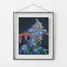 Load image into Gallery viewer, Khalifa Kush 8x10 print
