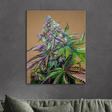 Load image into Gallery viewer, Mendo Breath Original Painting

