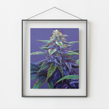 Load image into Gallery viewer, Purple Haze 8x10 print
