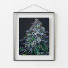 Load image into Gallery viewer, Sour Diesel 8x10 Print
