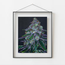 Load image into Gallery viewer, Sour Diesel 8x10 print
