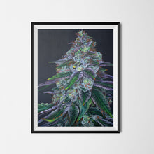 Load image into Gallery viewer, Sour Diesel 18&quot;x24&quot; Poster
