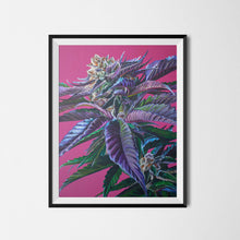 Load image into Gallery viewer, Tropicana Punch 18&quot;x24&quot; Poster
