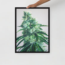 Load image into Gallery viewer, White Durban framed poster - black frame

