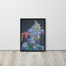 Load image into Gallery viewer, Khalifa Kush framed poster - black frame
