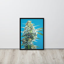 Load image into Gallery viewer, OG Kush framed poster - black frame
