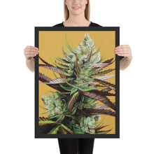 Load image into Gallery viewer, Framed Super Lemon Haze poster shown in a room

