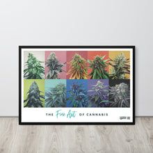 Load image into Gallery viewer, 10 Strain framed 36x24 poster - black frame
