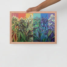 Load image into Gallery viewer, STRainbow framed 18x12 poster - red oak frame
