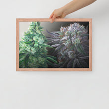 Load image into Gallery viewer, Day &amp; Night framed 18x12 poster - red oak frame
