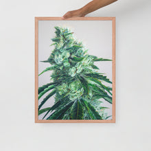 Load image into Gallery viewer, White Durban framed poster - red oak frame
