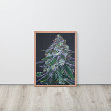 Load image into Gallery viewer, FRAMED 18&quot;x24&quot; Sour Diesel Poster
