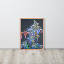 Load image into Gallery viewer, Khalifa Kush framed poster - red oak frame
