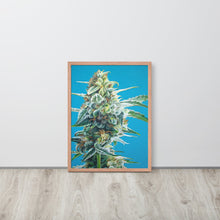Load image into Gallery viewer, OG Kush framed poster - red oak frame
