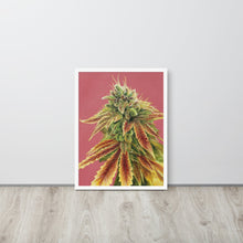 Load image into Gallery viewer, Gorilla Zkittlez framed poster - white frame
