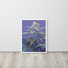 Load image into Gallery viewer, Purple Haze framed poster - white frame
